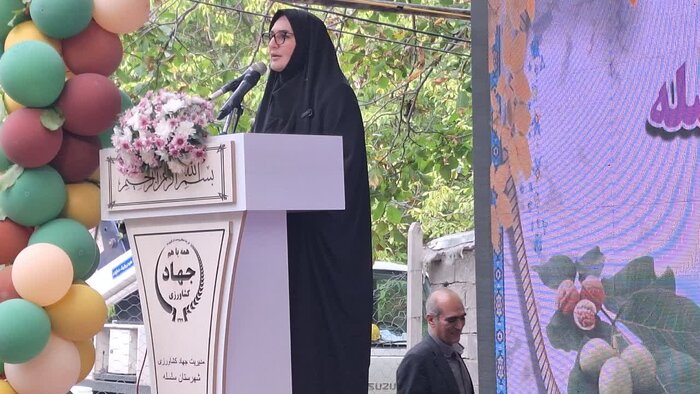 قصه گردوی سلسله؛ از باغهای لرستان تا بازارهای ایران