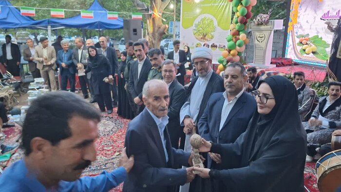 قصه گردوی سلسله؛ از باغ‌های لرستان تا بازارهای ایران