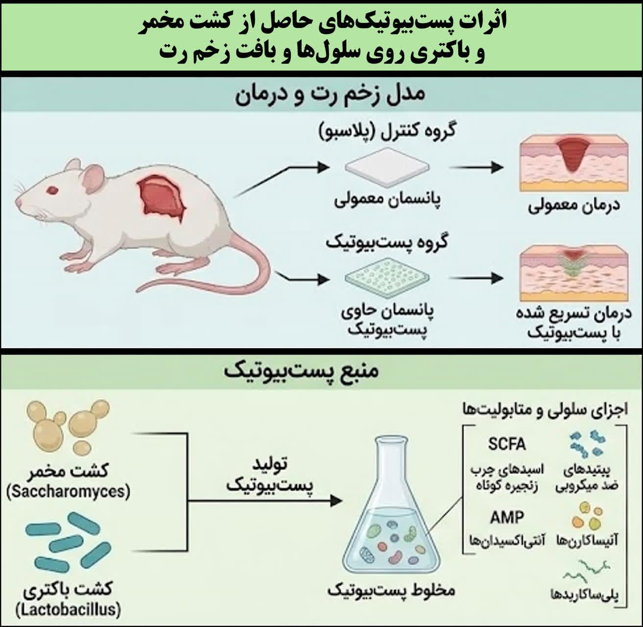 اخبار کوتاه دانشگاهی هجدهم مهرماه