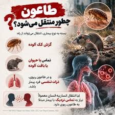 خبری از طاعون در تهران نیست