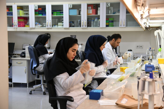 پایش سالانه بیش از یک میلیون آزمونهای سلامت سنجی روی بذر سیب زمینی کشور