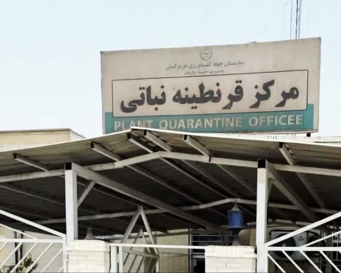 صادرات محصولات کشاورزی هرمزگان از مرز ۵۵۸ هزار تن عبور کرد