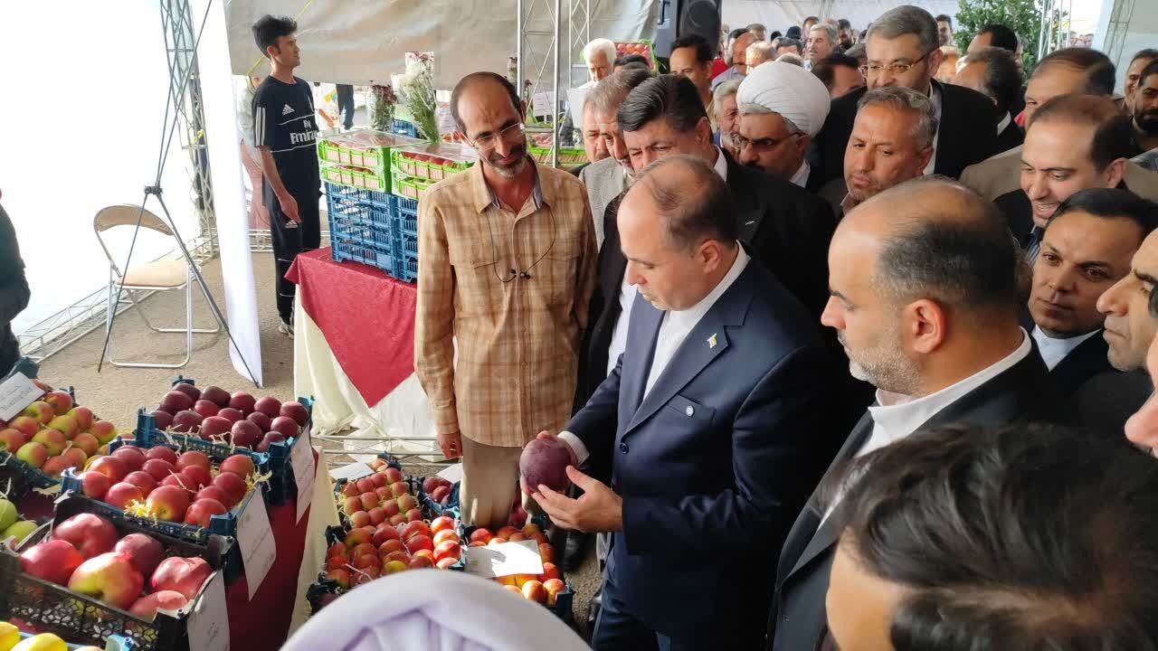 پیشبینی تولید بیش از چهار میلیون تن سیب در کشور