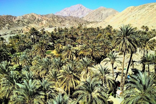 سراوان؛ جلوهگاه هزارههای تاریخ و موسیقی اصیل در جنوب شرق
