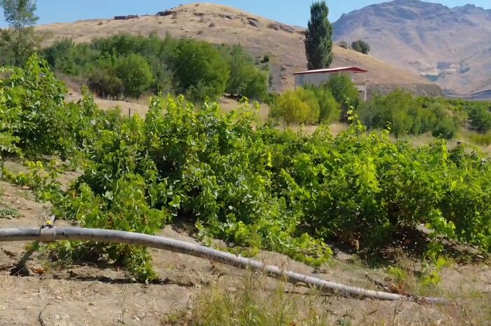 "بولاوگیری"، میراث هزارساله روستای دولاب سنندج