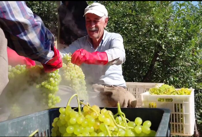"بولاوگیری"، میراث هزارساله روستای دولاب سنندج