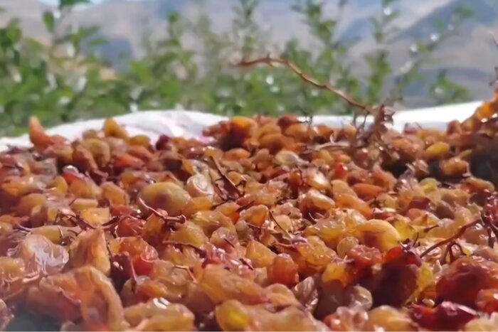 "بولاوگیری"، میراث هزارساله روستای دولاب سنندج