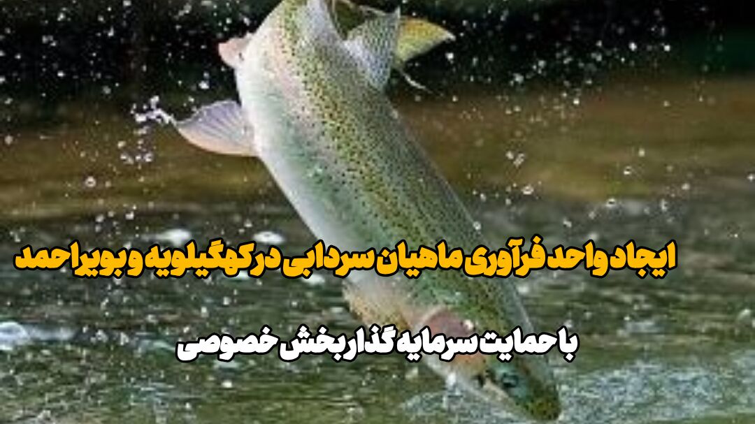 فیلم | آمادگی بخش خصوصی برای فرآوری ماهیان سردابی در کهگیلویه و بویراحمد