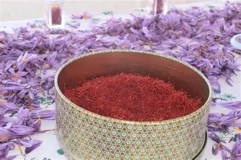 مشق پاییزه طلای سرخ بر کویر مرکزی