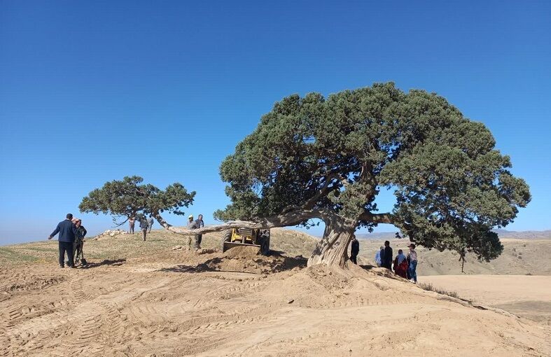 نجات میراث سبز خراسان شمالی از چنگ حفاران غیرمجاز