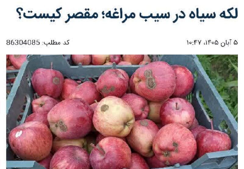 پاسخ جهادکشاورزی مراغه به گزارش ایرنا؛ باغداران توصیه‌ها را جدی نگرفتند