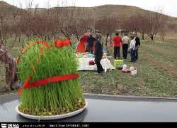 Los iraníes celebran el "Día de la naturaleza"