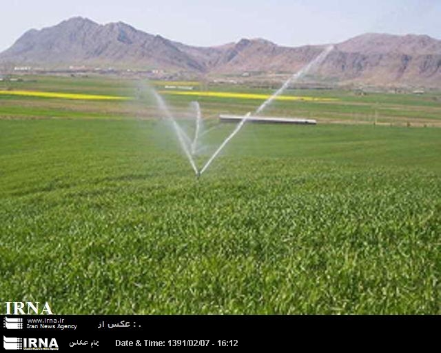 Los Ministros de Agricultura de Irán y Georgia debaten sobre la ampliación de relaciones