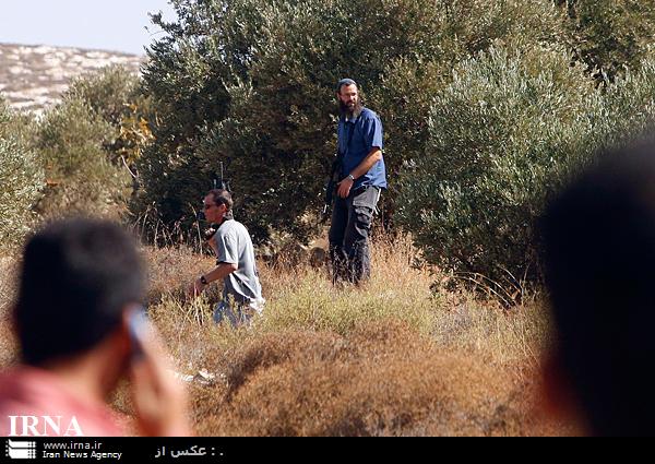 چهار فلسطيني در درگيري ها در كرانه باختري زخمي شدند