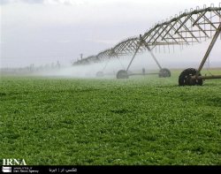 15طرح كشاورزي در شهرستان مه ولات به بهره برداري رسيد