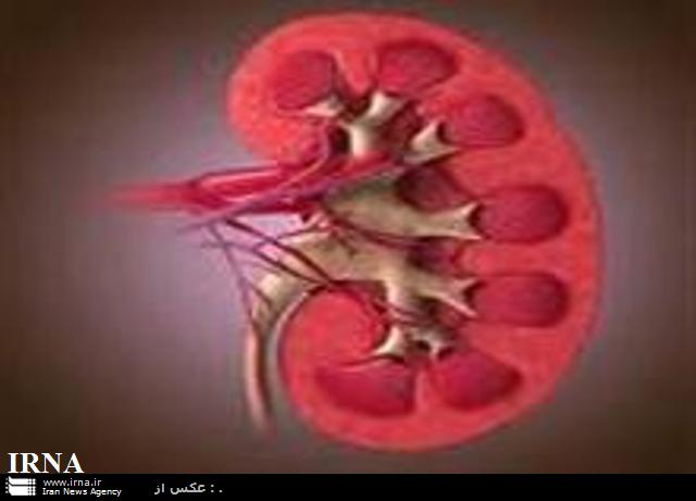 ديابت و فشار خون شايع ترين عوامل بروز نارسايي مزمن كليه در كشور است