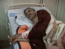 حمله خرس به روستاي مره جين خلخال دو نفر را مجروح كرد