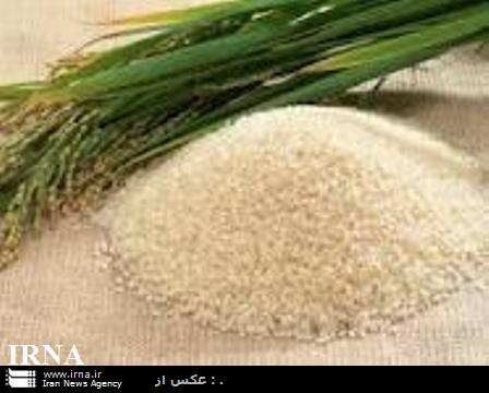 خريد تضميني برنج پرمحصول در مازندران آغاز شد