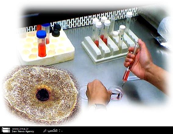 مسوولان دستاوردهاي تحقيقات سلولي‌مولكولي درخوزستان راجدي بگيرند
