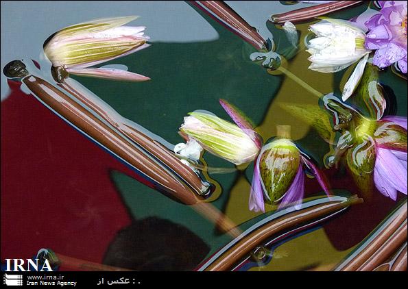 تمجید معاون نخست وزیر مالزی از غرفه های ایران در نمایشگاه بین المللی هنر