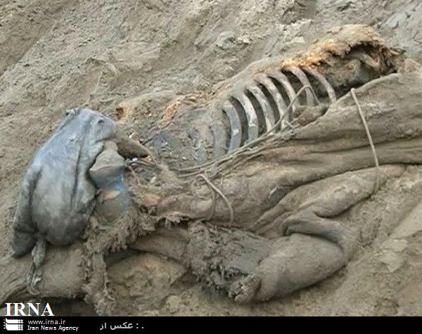 در یک اتفاق نادر/ جسد یک ماموت 30 هزار ساله در روسیه کشف شد
