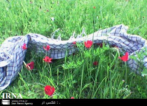 اولین یادواره فرمانده هان و 600 شهید گردان کمیل برگزار شد