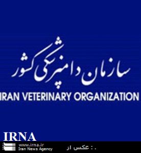 دامپزشكي خراسان رضوي نسبت به گسترش بيماري تب برفكي هشدار داد