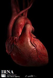 بيماري‌هاي قلبي و سرطان, مهمترين عوامل مرگ و مير در مردان