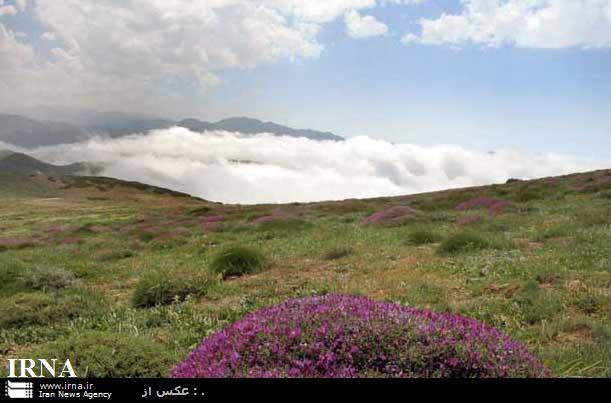 سطح آگاهي مردم در حفاظت از عرصه هاي طبيعي افزايش يافته است