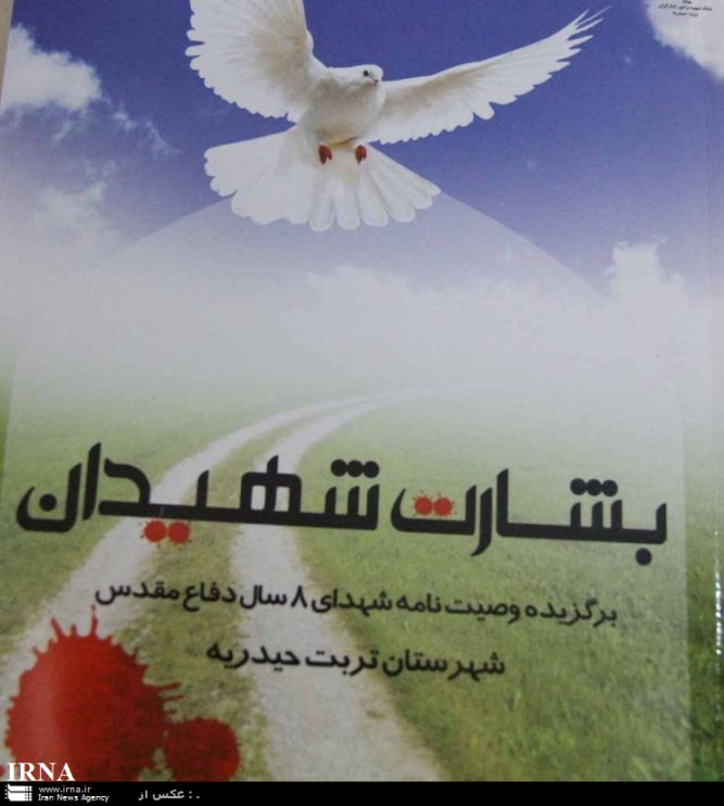 كتاب'بشارت شهيدان' در تربت حيدريه رونمايي شد