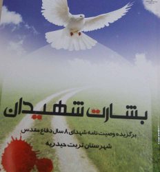 كتاب'بشارت شهيدان' در تربت حيدريه رونمايي شد