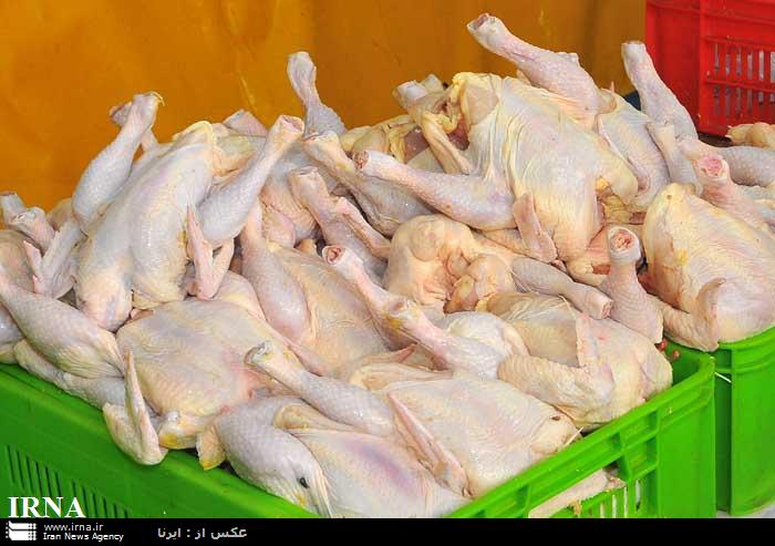 گوشت مرغ در صورت نياز بازار، توزيع مي شود