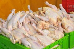 گوشت مرغ در صورت نياز بازار، توزيع مي شود