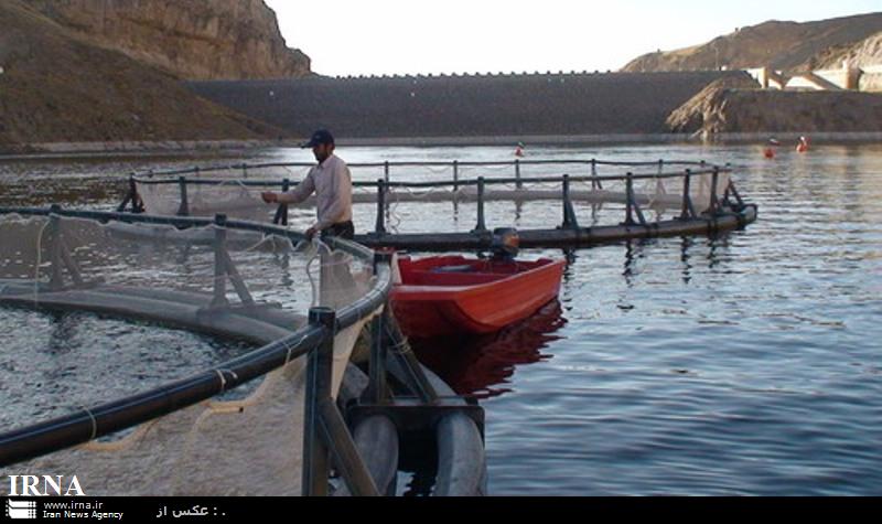 يك درصد منابع آبي خراسان شمالي در بخش شيلات استفاده مي شود