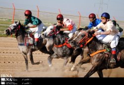مسابقات اسب دواني قهرماني كشور در دزفول برگزار شد