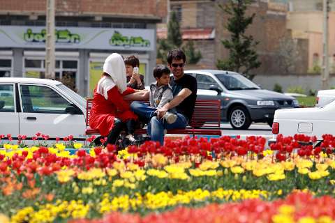 ۱.۵ میلیون بوته گل در همدان کاشته شد