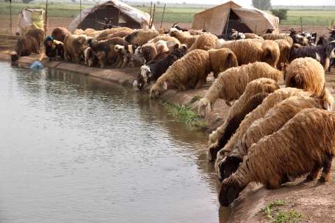 نوای زندگی عشایر در کوه و دشت لرستان