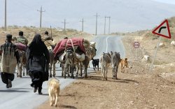 درنگ ييلاق در گرماي قشلاق