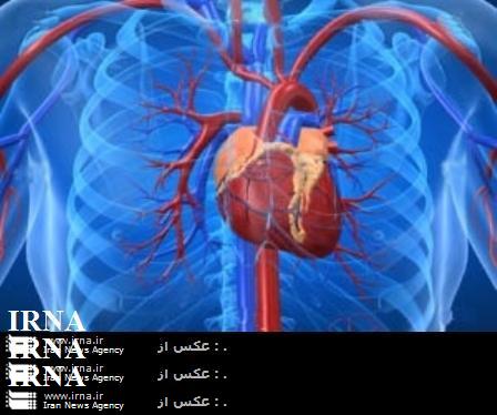 بيشتر بيماري هاي قلب و عروق در ايران قابل درمان است