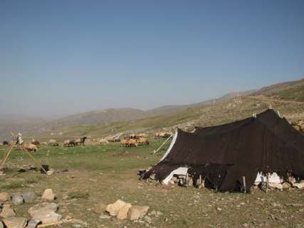 كوچ عشاير شمال آذربايجان غربي به ييلاق هاي چالدران آغاز شد