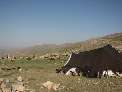 كوچ عشاير شمال آذربايجان غربي به ييلاق هاي چالدران آغاز شد