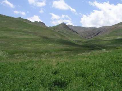 نخستين طرح آبياري تحت فشار مراتع آذربايجان غربي در چالدران اجرا شد