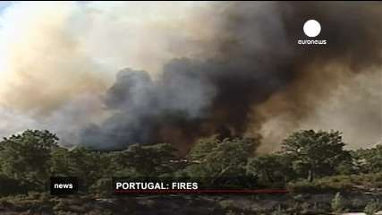 پرتغال برای مهار آتش از كشورهای اروپایی درخواست كمك كرد