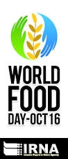 Every day 840m people go hungry in a world of plenty Every day 840m people go hungry in a world of plenty