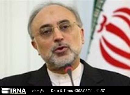 Salehi: Iran acting in nuclear areas according to national interests Salehi: Iran acting in nuclear areas according to national interests