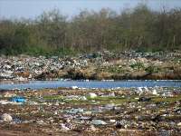 قائم مقام شيلات گيلان: آلودگي رودخانه ها مانع تكثير طبيعي ماهيان است