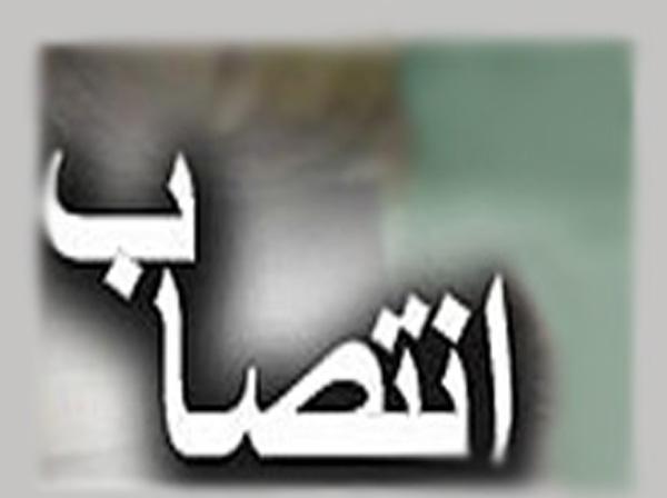 محمدرضا حشتمی معاون قرآن و عترت وزارت ارشاد شد