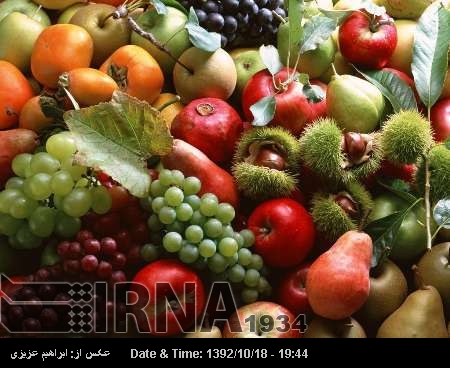Int’l exhibit of agricultural, organic products, related industries opens Int’l exhibit of agricultural, organic products, related industries opens