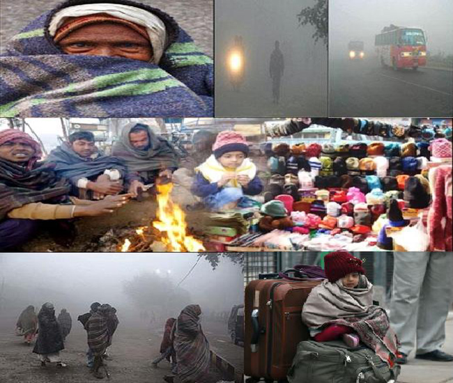 Bone-chilling cold coupled with fog adds to winter misery in north India: Report Bone-chilling cold coupled with fog adds to winter misery in north India: Report