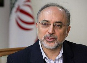 Salehi stresses Iran's nuclear rights Salehi stresses Iran's nuclear rights